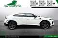 Lamborghini Urus 4.0 S Iva esposta Bianco - thumbnail 7