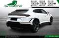 Lamborghini Urus 4.0 S Iva esposta Bianco - thumbnail 6
