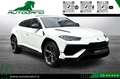 Lamborghini Urus 4.0 S Iva esposta Bianco - thumbnail 8