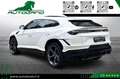 Lamborghini Urus 4.0 S Iva esposta Bianco - thumbnail 4