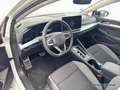 Volkswagen Golf VIII GOAL 1.5 eTSI DSG KAMERA*LED-PLUS*NAVI Weiß - thumbnail 6