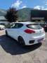 Kia Ceed / cee'd cee´d Titan 1,4 MPI Weiß - thumbnail 3