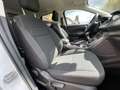 Ford Kuga Cool & Connect Bianco - thumbnail 10
