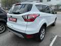 Ford Kuga Cool & Connect Bianco - thumbnail 6