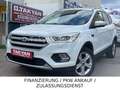 Ford Kuga Cool & Connect Bianco - thumbnail 1