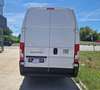 Fiat Ducato Ducato 35+ L4H3 BlueHDi 180 S&S Blanc - thumbnail 5