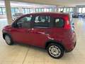 Fiat Panda 1.0 firefly hybrid 70 cv Rouge - thumbnail 14