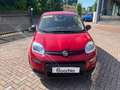 Fiat Panda 1.0 firefly hybrid 70 cv Rouge - thumbnail 27
