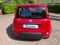 Fiat Panda 1.0 firefly hybrid 70 cv Rouge - thumbnail 32