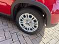 Fiat Panda 1.0 firefly hybrid 70 cv Rouge - thumbnail 35