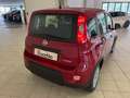 Fiat Panda 1.0 firefly hybrid 70 cv Rouge - thumbnail 7