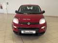 Fiat Panda 1.0 firefly hybrid 70 cv Rouge - thumbnail 2