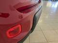 Fiat Panda 1.0 firefly hybrid 70 cv Rouge - thumbnail 12