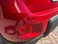 Fiat Panda 1.0 firefly hybrid 70 cv Rouge - thumbnail 36