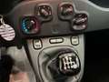 Fiat Panda 1.0 firefly hybrid 70 cv Rouge - thumbnail 24