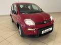 Fiat Panda 1.0 firefly hybrid 70 cv Rouge - thumbnail 3