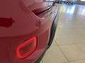 Fiat Panda 1.0 firefly hybrid 70 cv Rouge - thumbnail 11