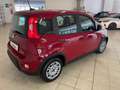 Fiat Panda 1.0 firefly hybrid 70 cv Rouge - thumbnail 6