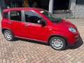 Fiat Panda 1.0 firefly hybrid 70 cv Rouge - thumbnail 29