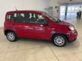 Fiat Panda 1.0 firefly hybrid 70 cv Rouge - thumbnail 5