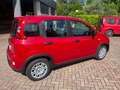 Fiat Panda 1.0 firefly hybrid 70 cv Rouge - thumbnail 30