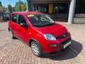 Fiat Panda 1.0 firefly hybrid 70 cv Rouge - thumbnail 28