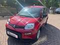 Fiat Panda 1.0 firefly hybrid 70 cv Rouge - thumbnail 26