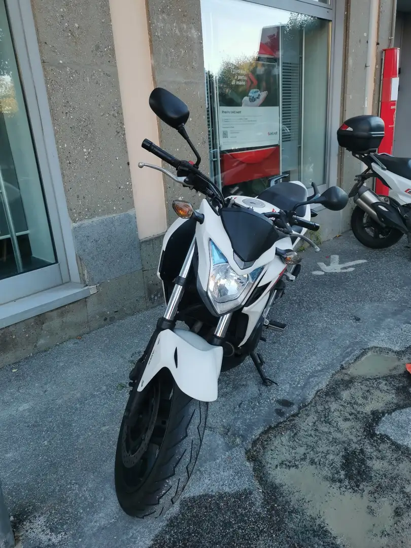 Honda CBF 500 bijela - 1