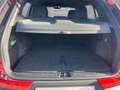 Volvo XC40 XC 40 B4 AWD Plus Dark LED+Keyless Rosso - thumbnail 10