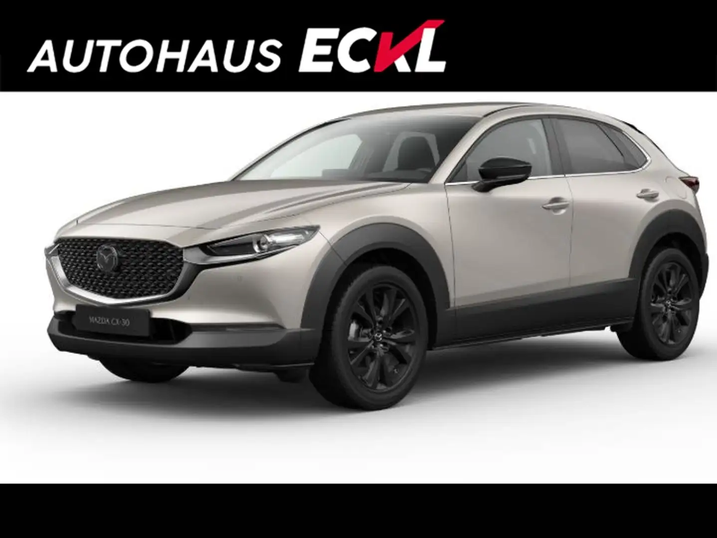 Mazda CX-30 2.5L e - Skyactiv G140PS 6MT 2WD HOMURA - 1