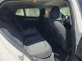 BMW X2 xDrive25e Advantage*Kamera*Hifi*PDC*18"* Bianco - thumbnail 11