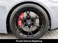 Porsche Cayman 718 GT4 RS*LIFT*BOSE*PDLS*CLUBSPORT* Grau - thumbnail 14