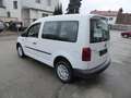 Volkswagen Caddy 2,0 TDI 5-SITZE Weiß - thumbnail 3