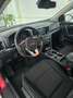 Kia Sportage 1.6 CRDi Business DCT 4x4 136 - thumbnail 9