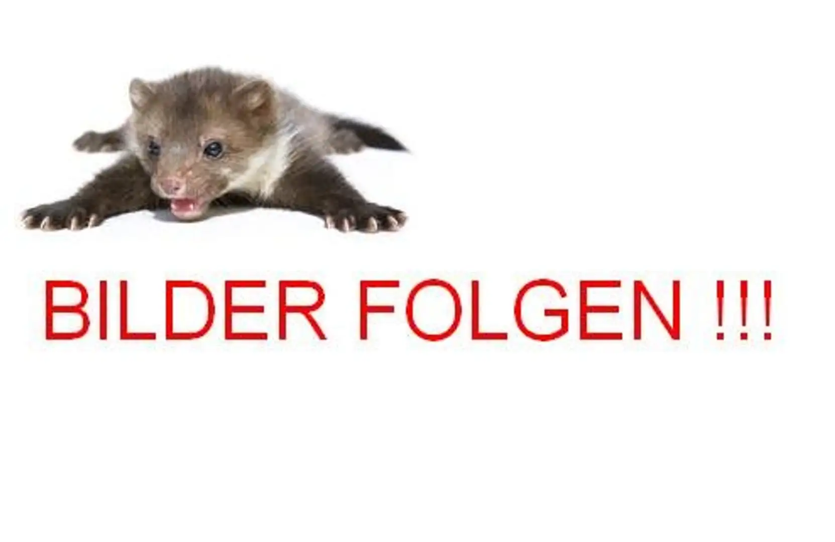 Dacia Duster Duster TCe 150 4WD Prestige Alu Leder Navi Sitzhei Noir - 1