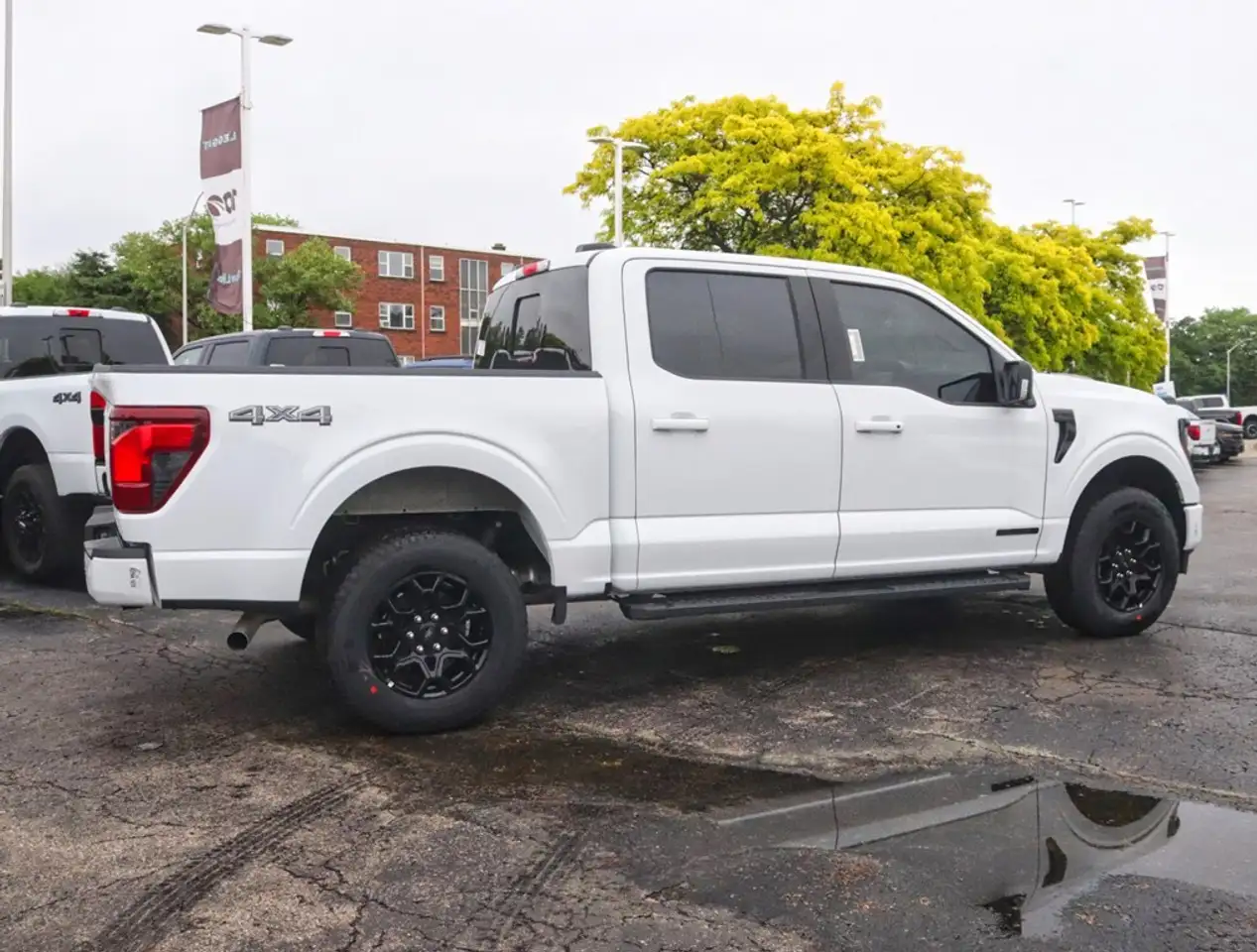 Ford F 150 photo Ford F 150