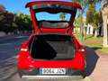 Volvo V40 Cross Country D2 Plus 120 Rojo - thumbnail 20