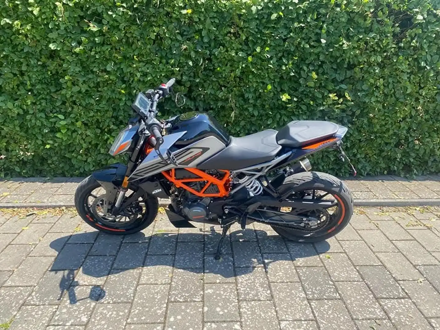 KTM 125 Duke Gri - 1
