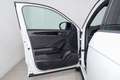 Volkswagen T-Roc 1.0 TSI R-Line 110CV Bianco - thumbnail 13