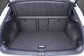 Volkswagen T-Roc 1.0 TSI R-Line 110CV Bianco - thumbnail 7