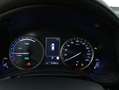 Lexus NX 300 Premium 4WD 2.5 Ibrido Benzina 197CV Verde - thumbnail 12