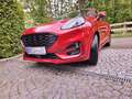 Ford Puma Puma 1,0 EcoBoost Hybrid ST-Line ST-Line Rot - thumbnail 1