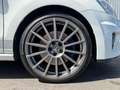 Volkswagen Polo R WRC Polo 2.0 TSI 220 R WRC Weiß - thumbnail 12