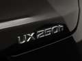 Lexus UX 250h Luxury Line | Leder | LED | Camera | Adapt cruise Zwart - thumbnail 24