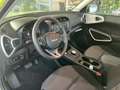 Kia Soul Edition 7 ACC Bi-LED R.Cam CarPlay Android Verde - thumbnail 6