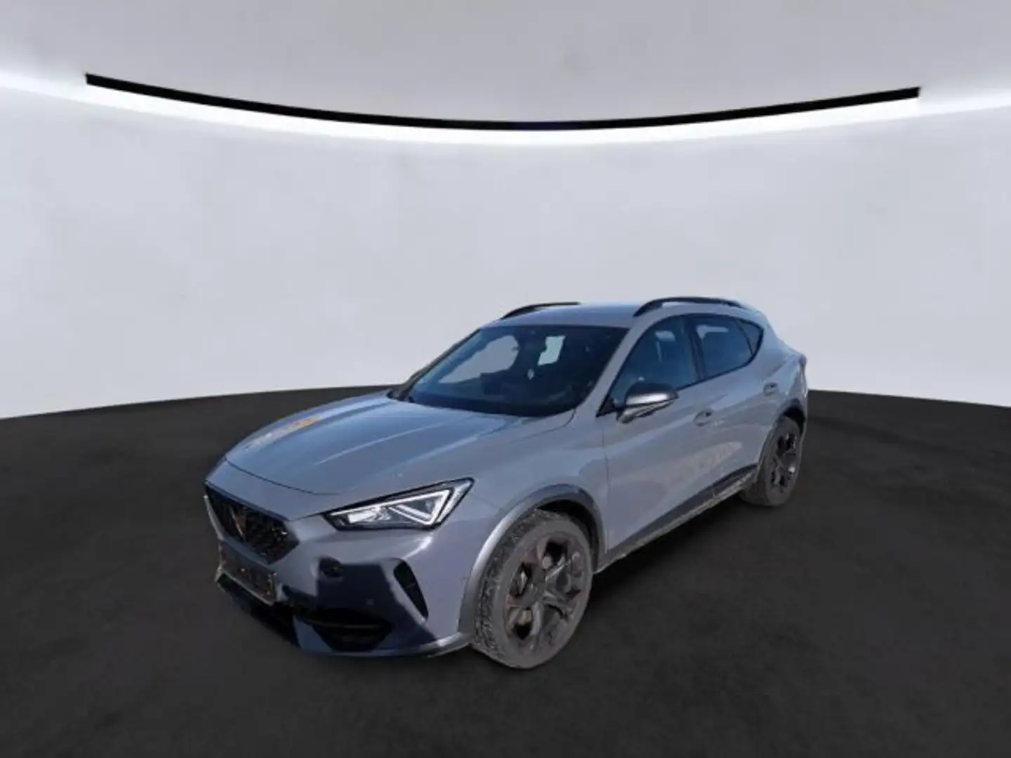 CUPRA Formentor VZ 2.0 TSI 4Drive DSG ACC*DCC*PDC*RFK* Grau - 2