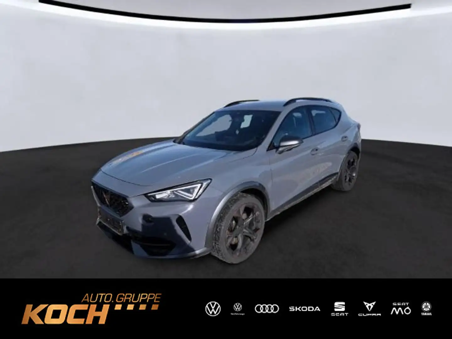 CUPRA Formentor VZ 2.0 TSI 4Drive DSG ACC*DCC*PDC*RFK* Grau - 1