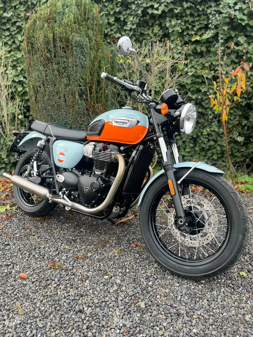 Triumph Bonneville T100 Bonneville T100 Gulf - 1