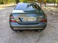 Mercedes-Benz S 320 S 320CDI Largo Aut. Gris - thumbnail 13
