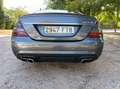 Mercedes-Benz S 320 S 320CDI Largo Aut. Gris - thumbnail 10